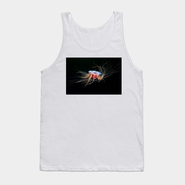 Lion's mane jellyfish (C032/5354) Tank Top by SciencePhoto